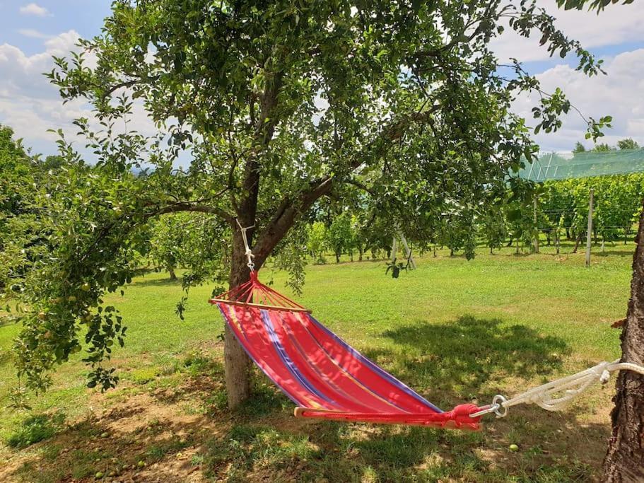 Kuca Za Odmor Villa Cesarica - Zagreb Graberje Ivanicko ภายนอก รูปภาพ